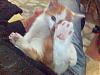 Burcu__ nickli yeye ait kullanc resmi (Avatar)