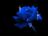 cicoss nickli yeye ait kullanc resmi (Avatar)