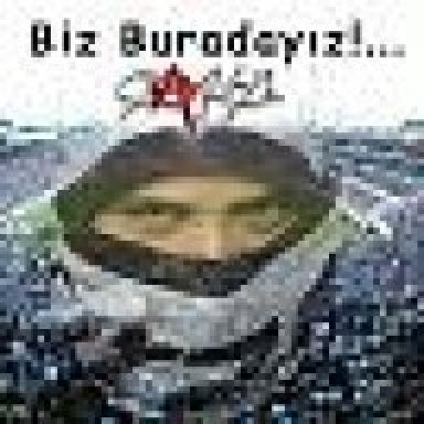 djceyhun